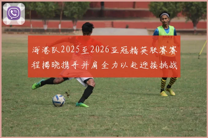 海港队2025至2026亚冠精英联赛赛程揭晓携手并肩全力以赴迎接挑战